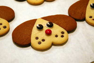 puppycookies