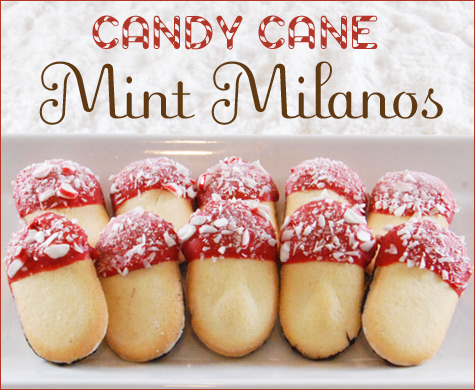 candycane_mintmilanos_1