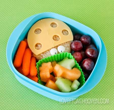 Fun-Ideas-For-Kids-School-Lunches-5065-650x624