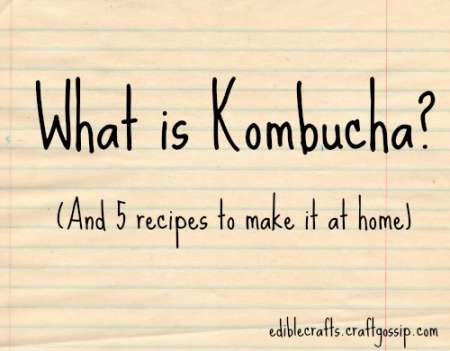 what-is-kombucha