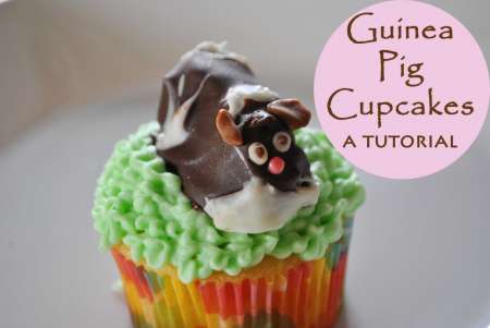 guinea-pig-cupcakes-tutorial