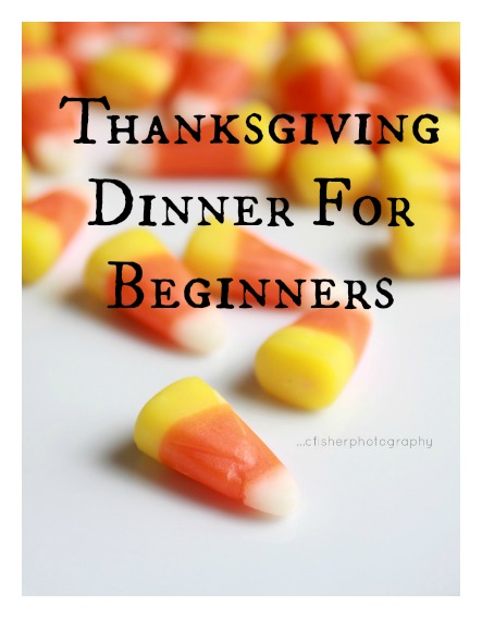 thanksgiving-dinner-for-beginners