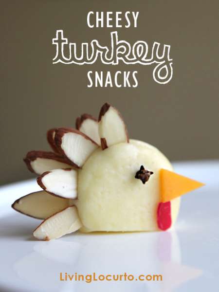 CheesyTurkeySnack