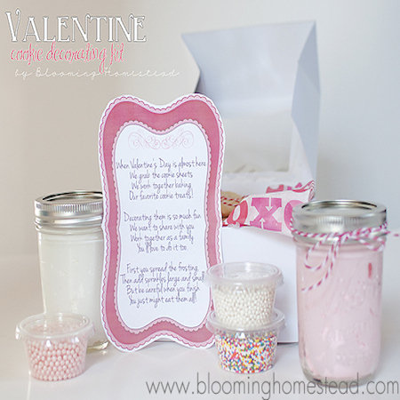 valentinecookiedecoratingkit