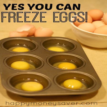 freeze eggs