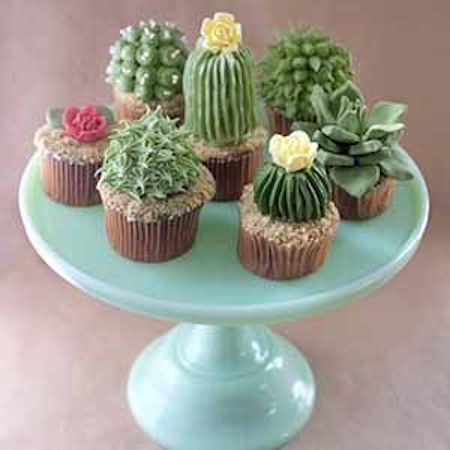 House Plant Cupcakes