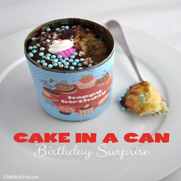 birthday-cupcake-in-a-can-DIY