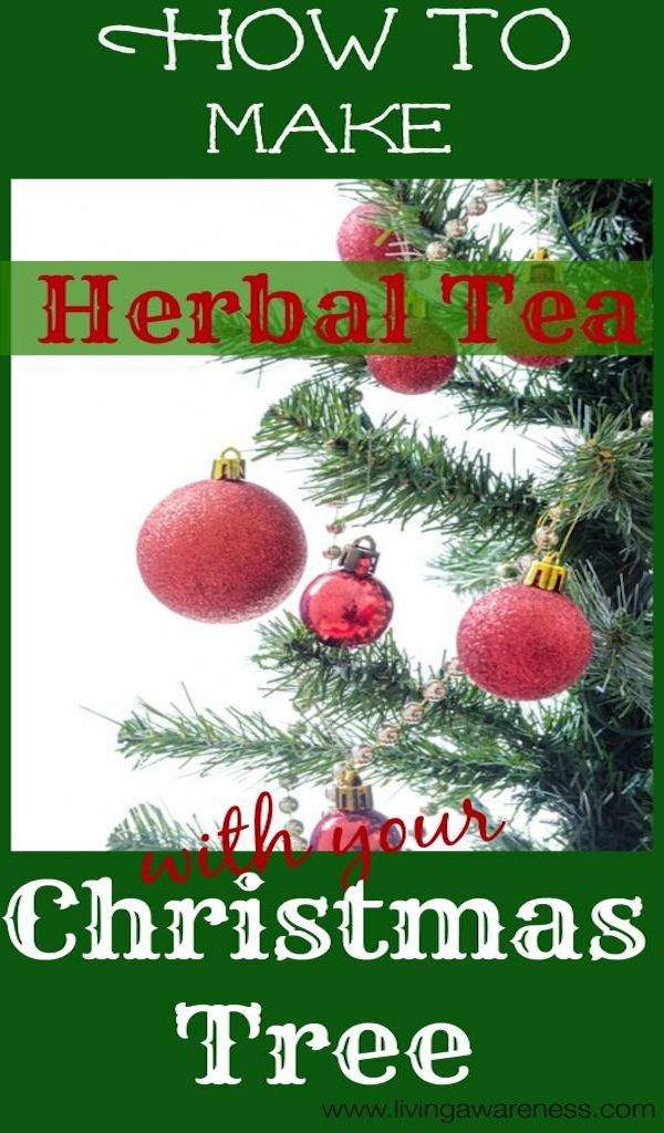 christmas tree herbal tea