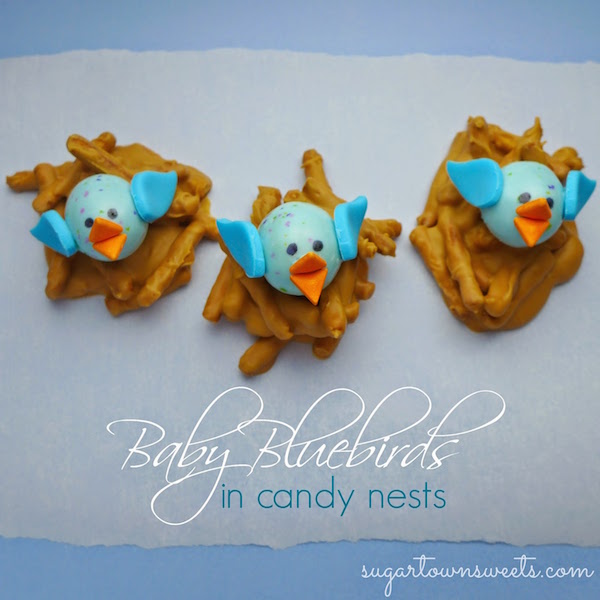 baby bluebirds in candy nests