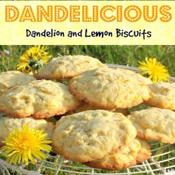 Dandelicious