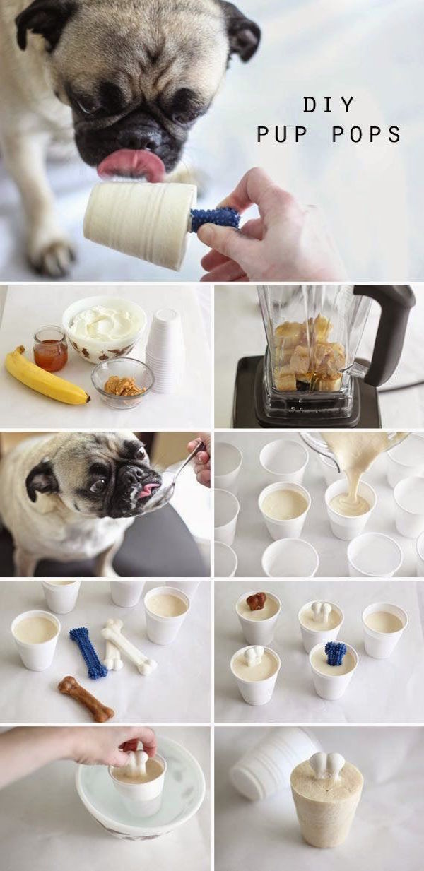 DIY Pup Pops