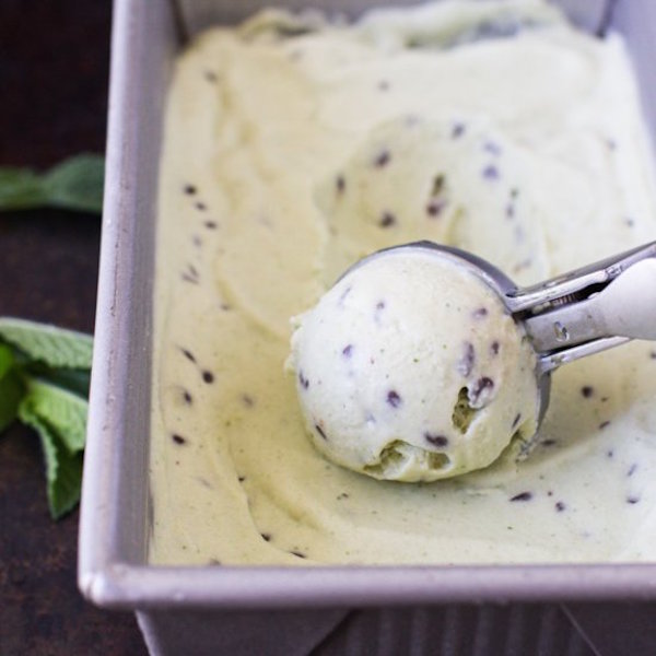 vegan mint chocolate chip ice cream