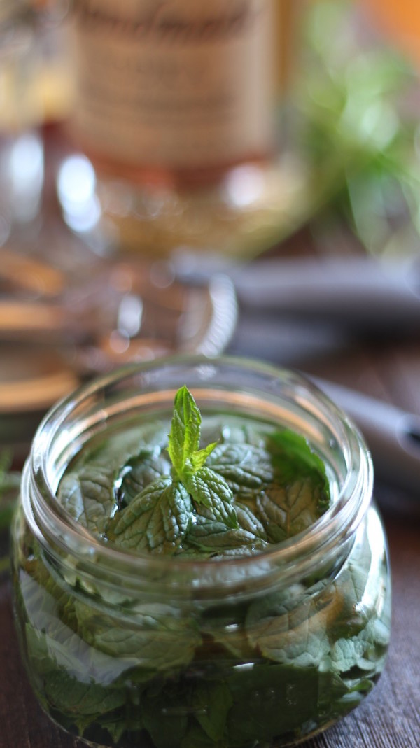 Peppermint-in-Jar-w-Vodka-Vertical