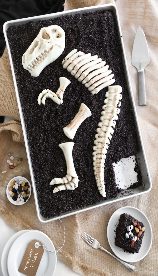 dino dig chocolate sheet cake