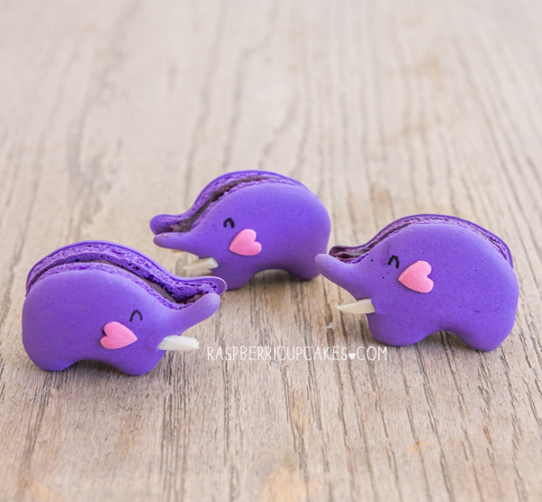 purple elephant macarons