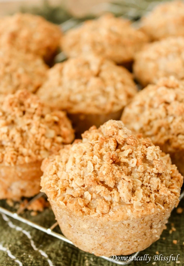 Apple-Cinnamon-Muffins-with-Oat-Streusel