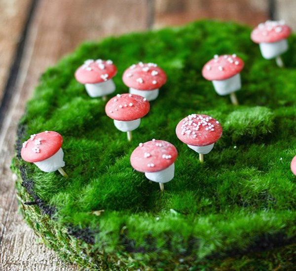 tiny chocolate no bake toadstools