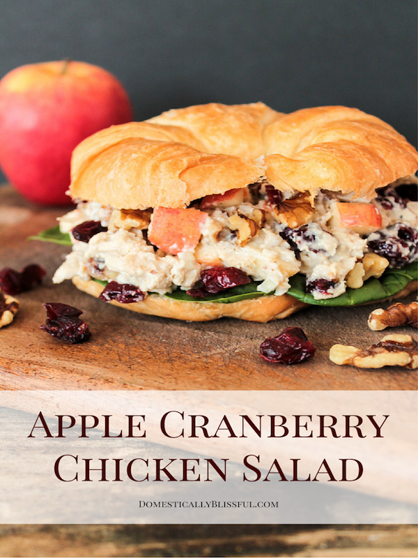 Apple-Cranberry-Chicken-Salad