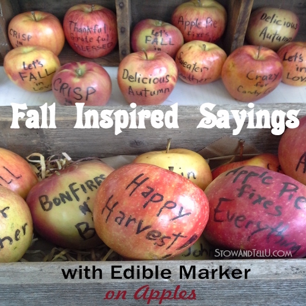 fall-inspired-sayings-with-edible-food-marker-on-apples