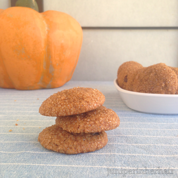 pumpkin gingersnaps