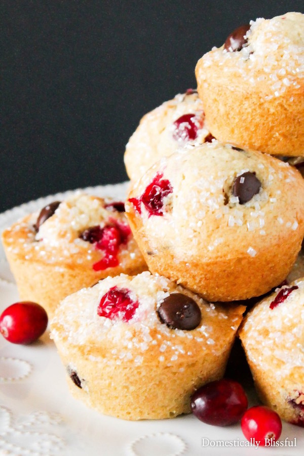 Dark-Chocolate-Cranberry-Vanilla-Muffins