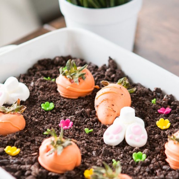 no bake chocolate oreo bunny garden dessert