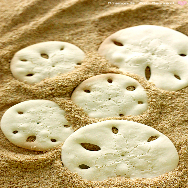 sand dollar cookie